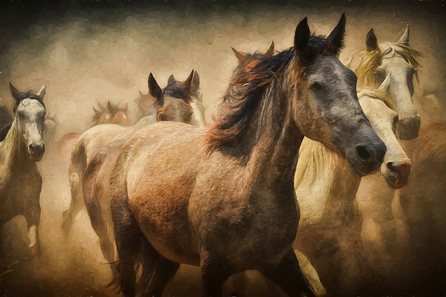 obrazy koni